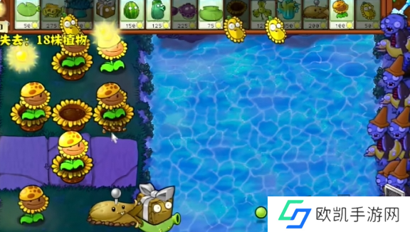 植物大战僵尸杂交版冒险模式第76关怎么过 植物大战僵尸杂交版冒险模式76关通关攻略
