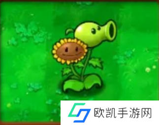 植物大战僵尸杂交版植物图鉴一览 植物大战僵尸杂交版植物图鉴汇总