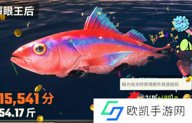 欢乐钓鱼大师怎么快速提升等级  欢乐钓鱼大师怎么提升等级