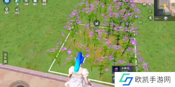 和平精英花圃种子在哪买的 花圃种子获得方法介绍[多图]图片1