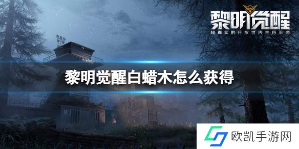 黎明觉醒白蜡木怎么获得 白蜡木哪里最多[多图]图片1