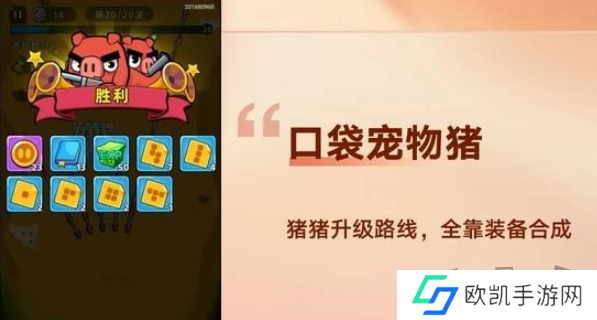 口袋宠物猪兑换码2024最新 口袋宠物猪2024最新兑换码有什么
