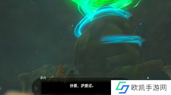 王国之泪宝贵的宝物通关攻略 塞尔达宝贵的宝物怎么过[多图]图片7