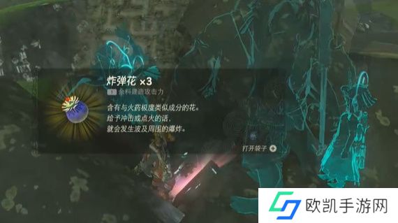 王国之泪我们的宝物攻略 塞尔达我们的宝物怎么过[多图]图片7