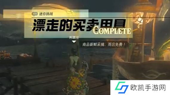 王国之泪漂走的买卖用具怎么处理 塞尔达漂走的买卖用具通关攻略[多图]图片9