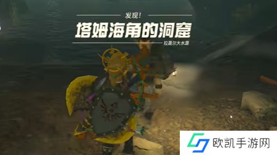 王国之泪宝贵的宝物通关攻略 塞尔达宝贵的宝物怎么过[多图]图片3