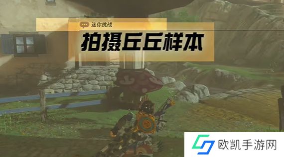 王国之泪拍摄丘丘样本任务攻略 塞尔达拍摄丘丘样本怎么过[多图]图片1
