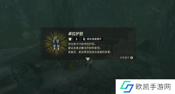 王国之泪友好之证攻略 塞尔达友好之证怎么过[多图]图片13